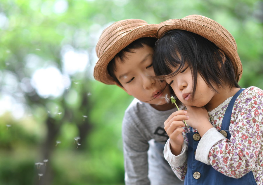 準グランプリ作品