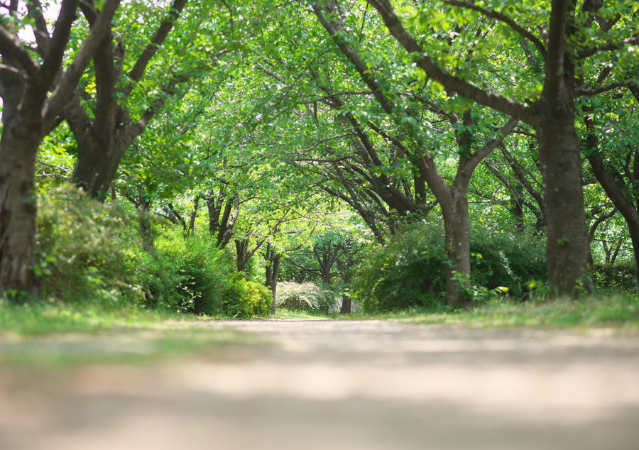 準グランプリ作品