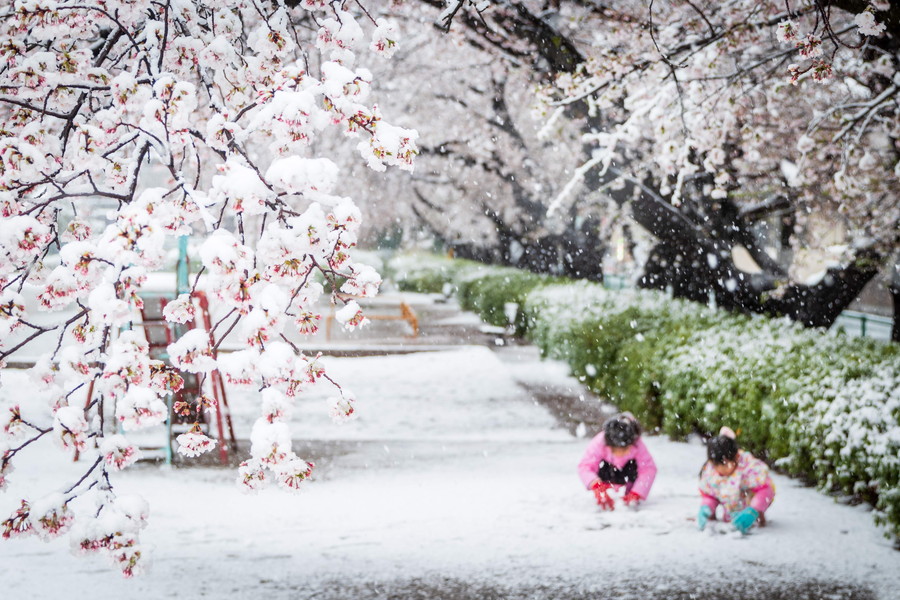 準グランプリ作品