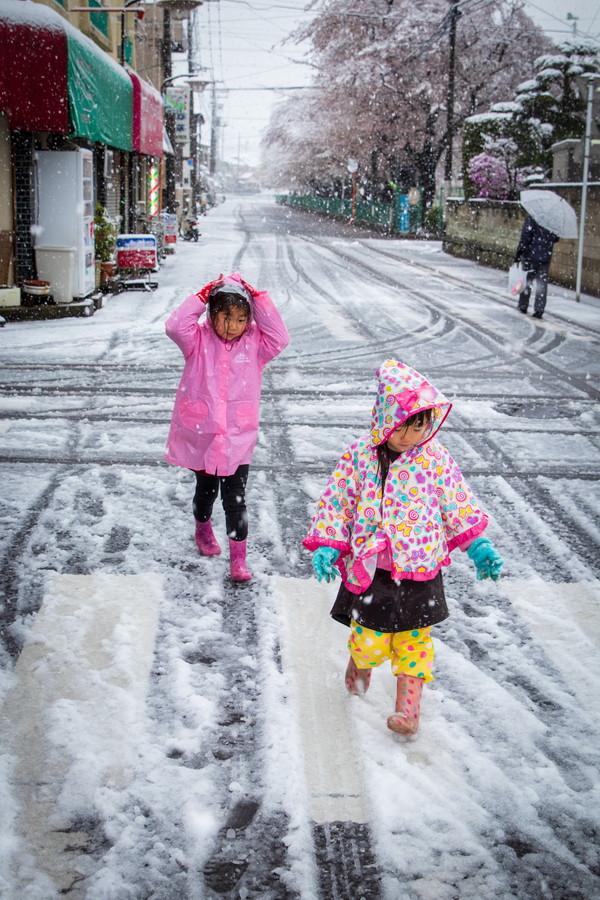 準グランプリ作品