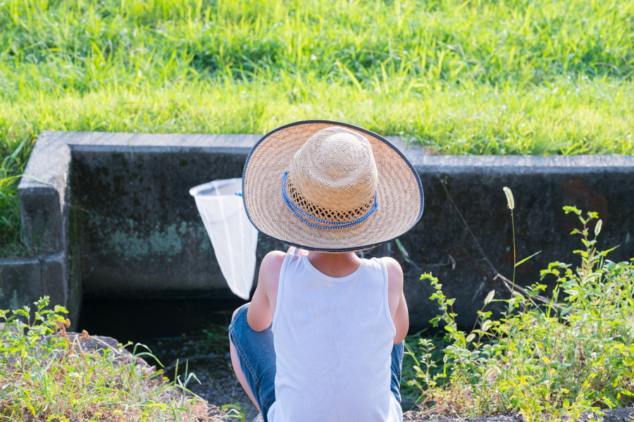 準グランプリ作品