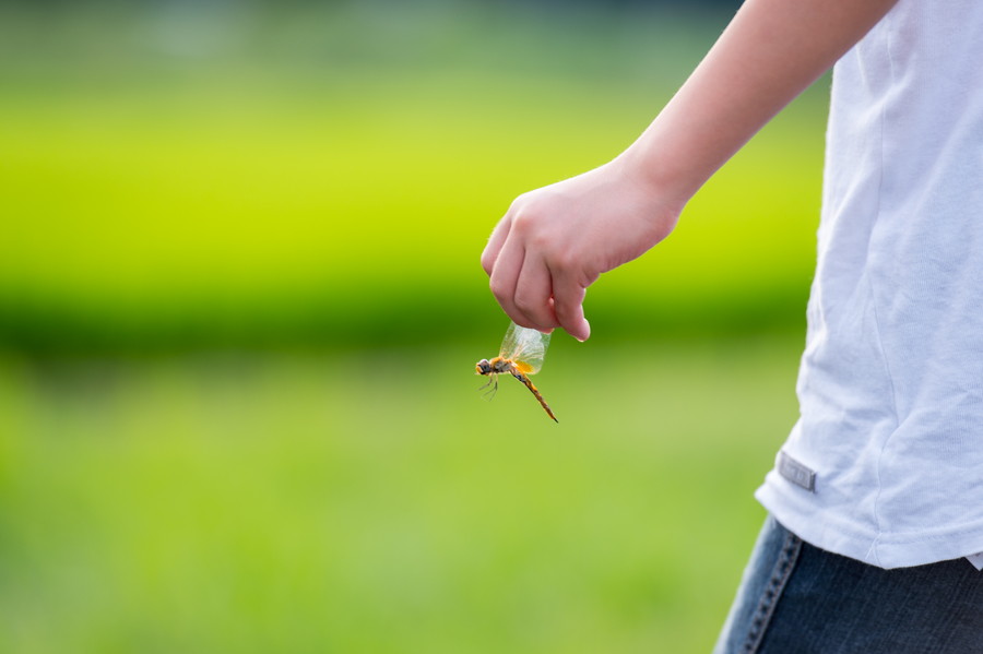 準グランプリ作品