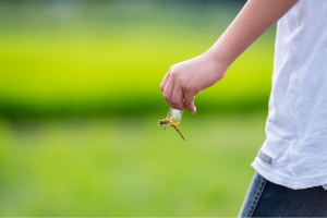 第6期 準グランプリ「キミを探した夏休み」