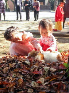 第２期 グランプリ「佳日」ａｙｍ&nbsp;様（埼玉県上尾市）