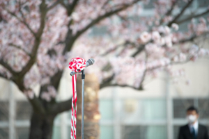 第5期 グランプリ「青空入学式」ｎｙａｏｋｏ０２２２&nbsp;様（兵庫県西宮市）