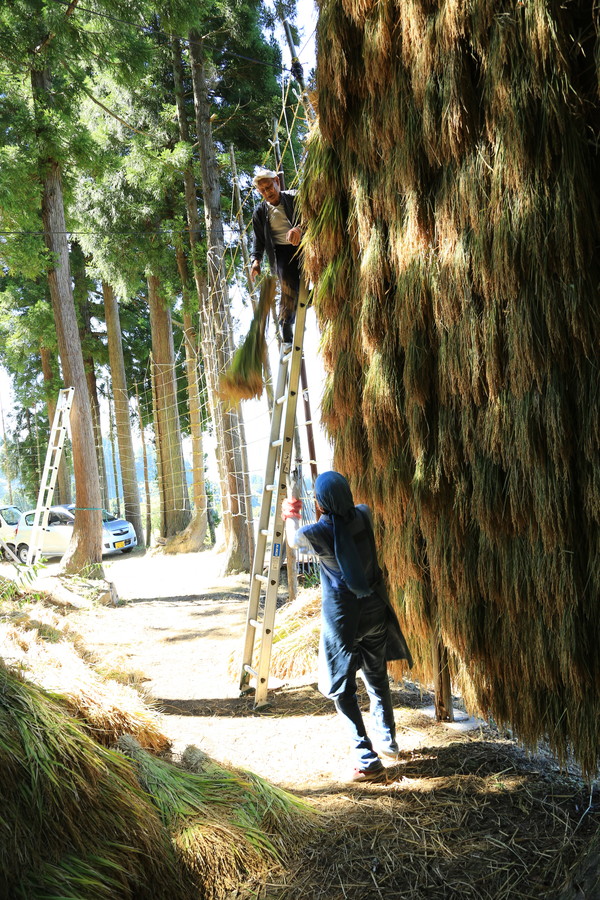 準グランプリ作品