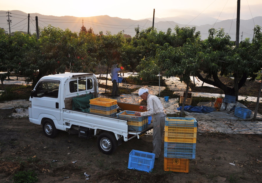 準グランプリ作品