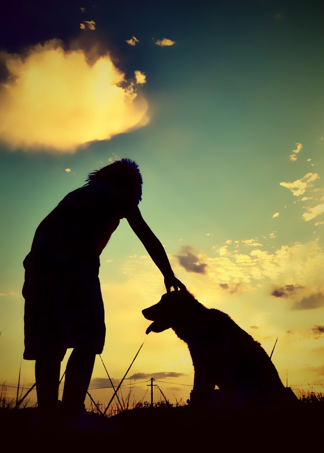 準グランプリ作品