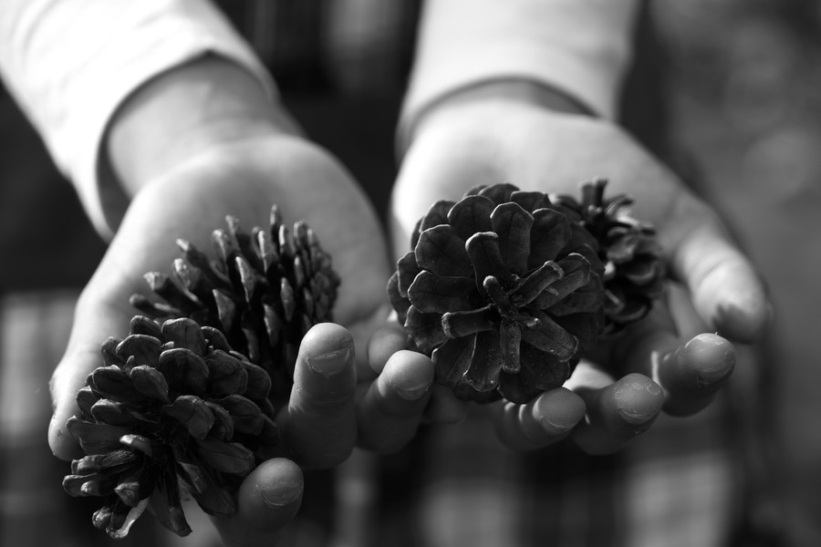 準グランプリ作品