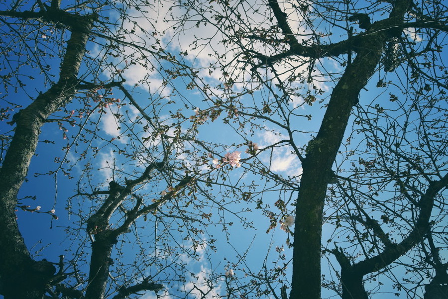 準グランプリ作品