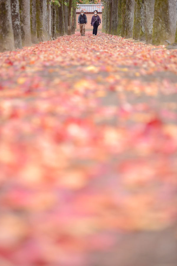 グランプリ作品