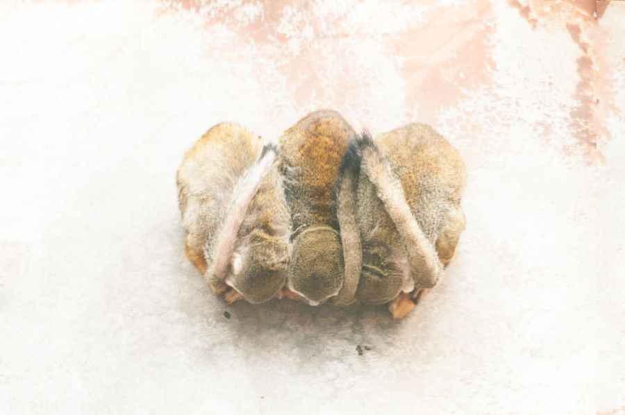 準グランプリ作品