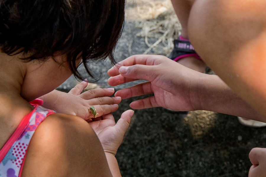 準グランプリ作品