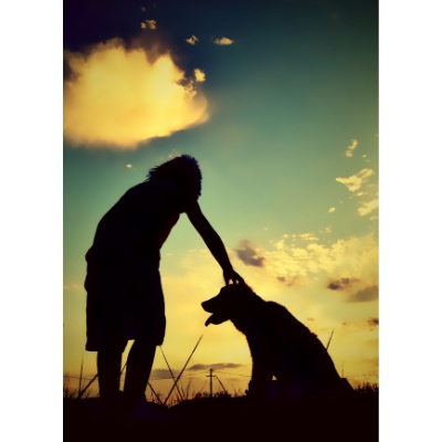 第3期 準グランプリ「ムギとの記憶」