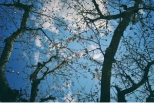 第3期 準グランプリ「友との別れ」