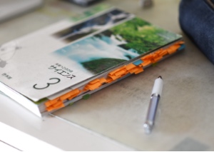 第4期 グランプリ「サクラサク」ｎｙａｏｋｏ０２２２&nbsp;様（兵庫県西宮市）