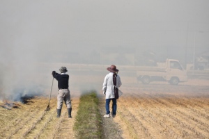 第5期 グランプリ「いつもいつまでも」藤元&nbsp;麻未&nbsp;様（岡山県岡山市）