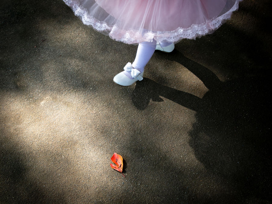 準グランプリ作品