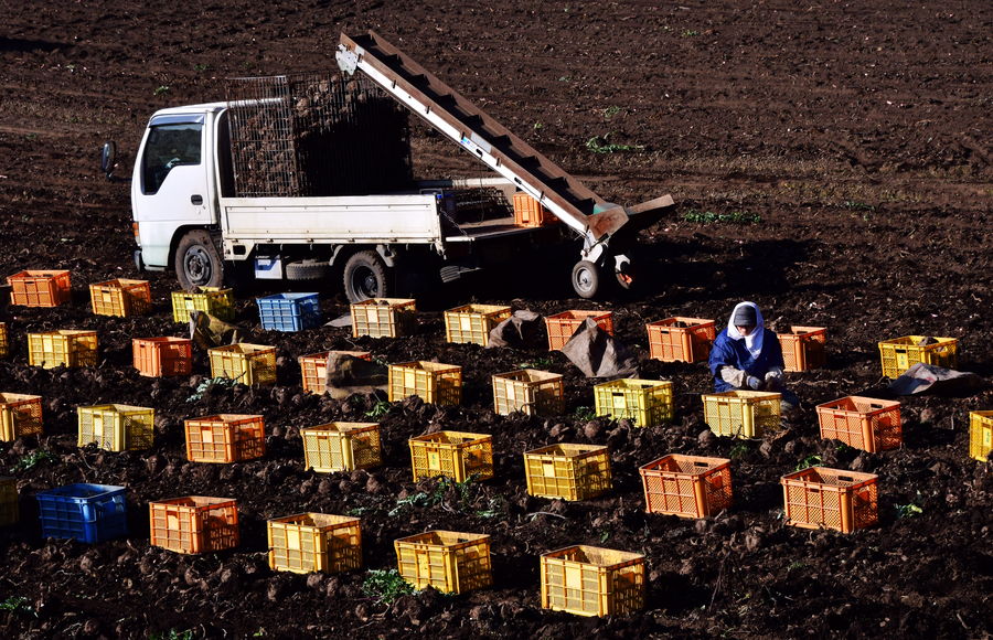 準グランプリ作品