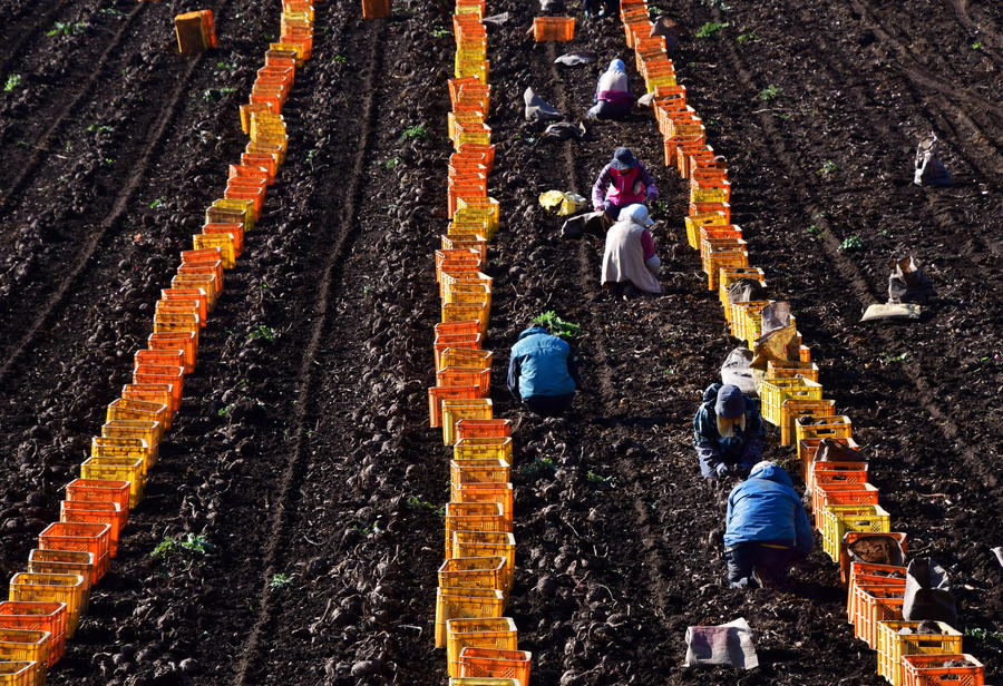 準グランプリ作品
