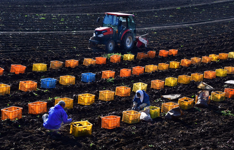 準グランプリ作品