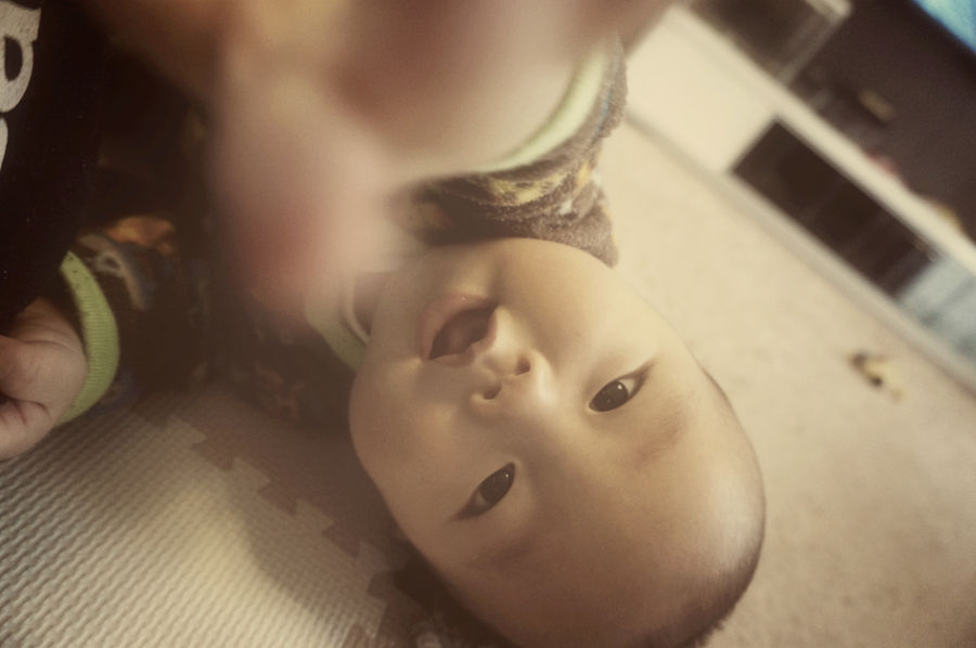 準グランプリ作品