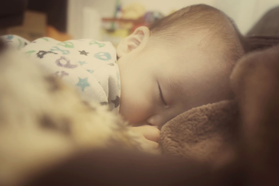 準グランプリ作品