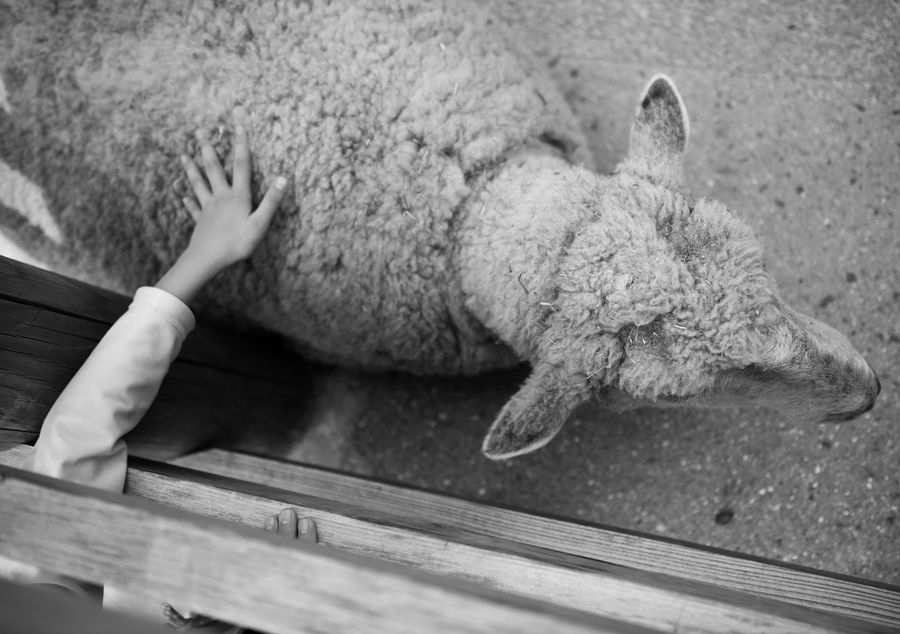 準グランプリ作品