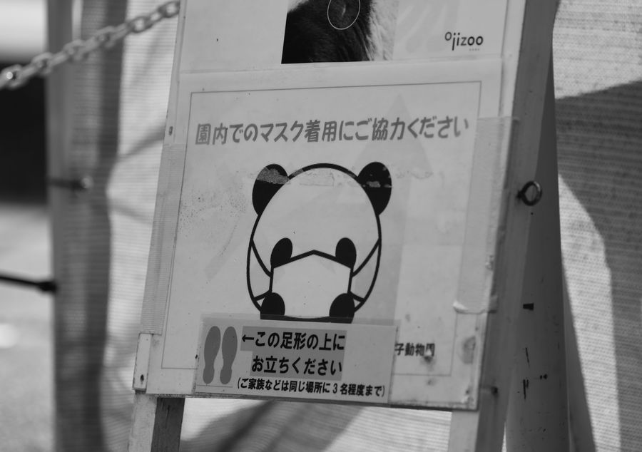 準グランプリ作品