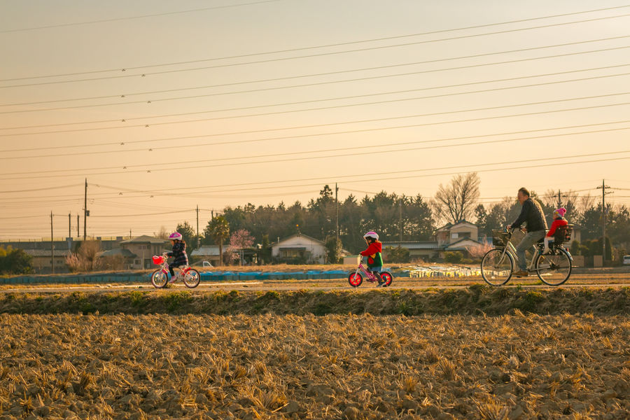 グランプリ作品