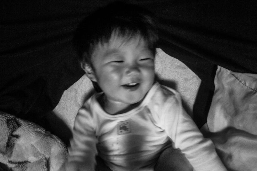 グランプリ作品