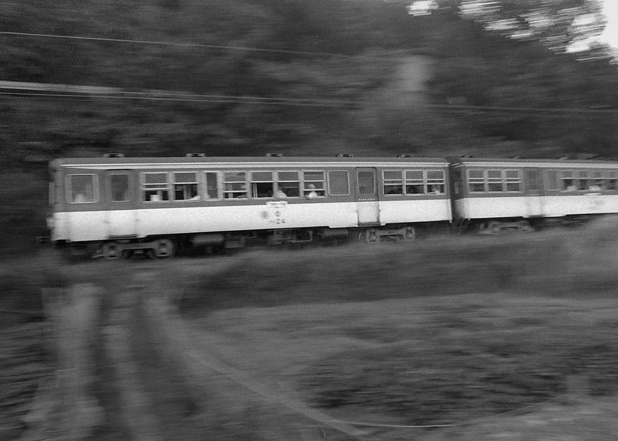 準グランプリ作品