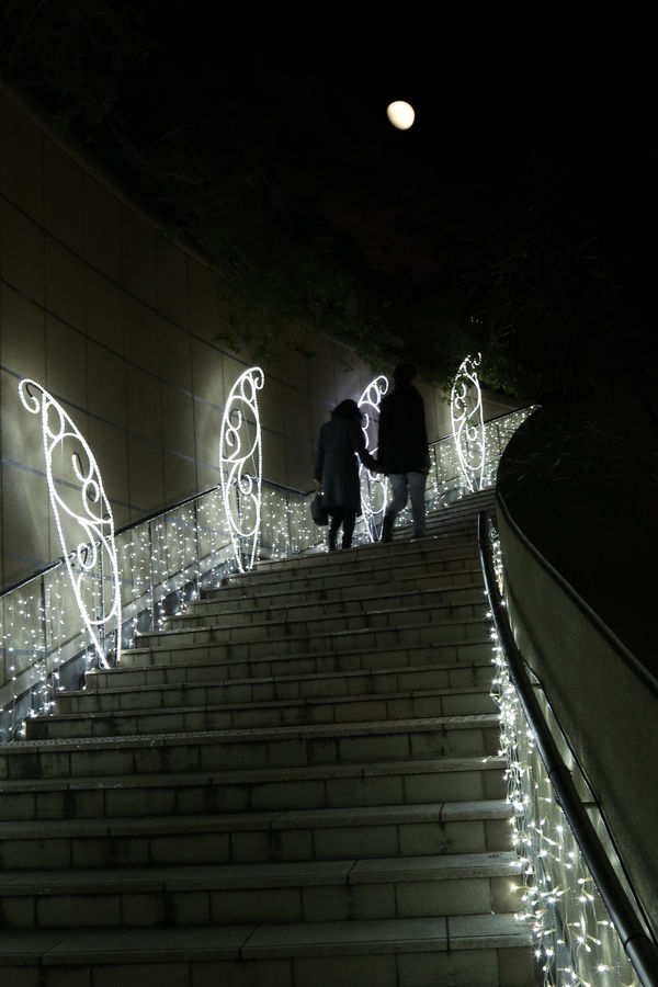 準グランプリ作品