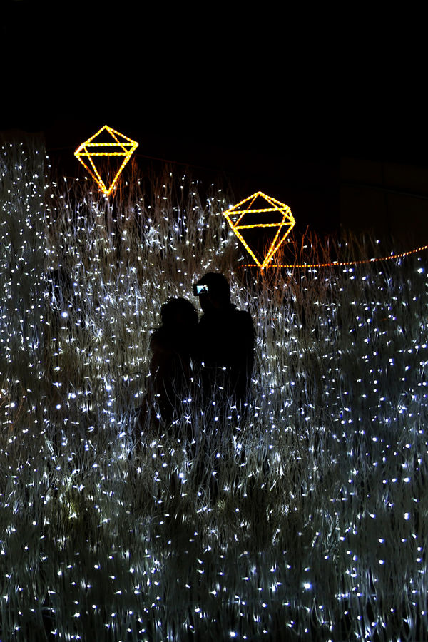 準グランプリ作品