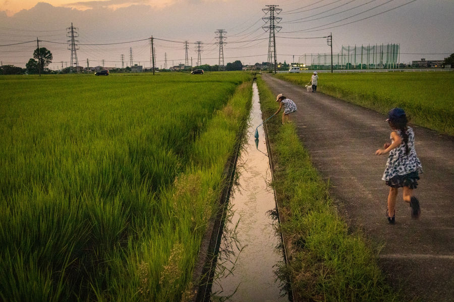 準グランプリ作品