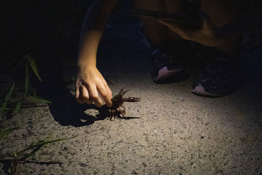 準グランプリ作品