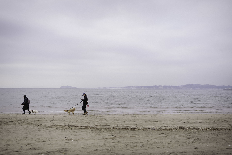 グランプリ作品