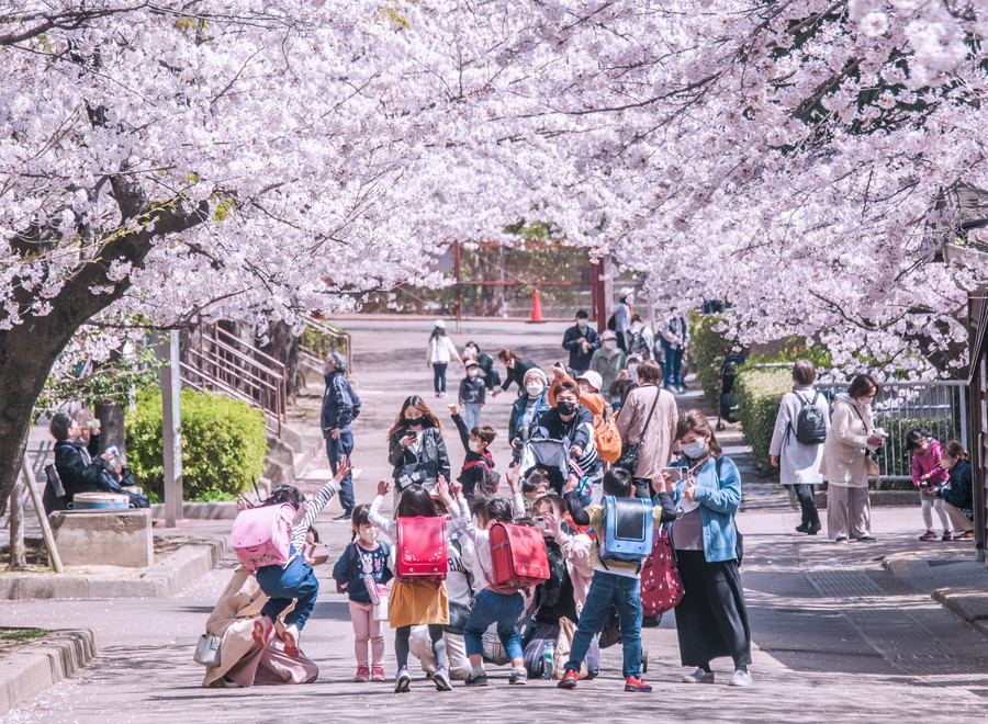 準グランプリ作品