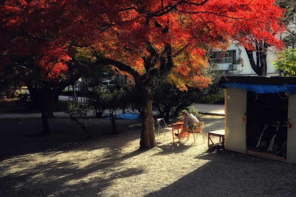 第4期 グランプリ「待ち人」石川&nbsp;賢一&nbsp;様（高知県高知市）