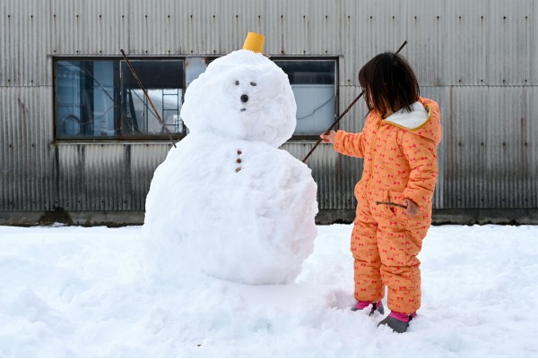 第4期 入選「大きな雪だるま」