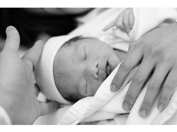 第6期 準グランプリ「愛娘」