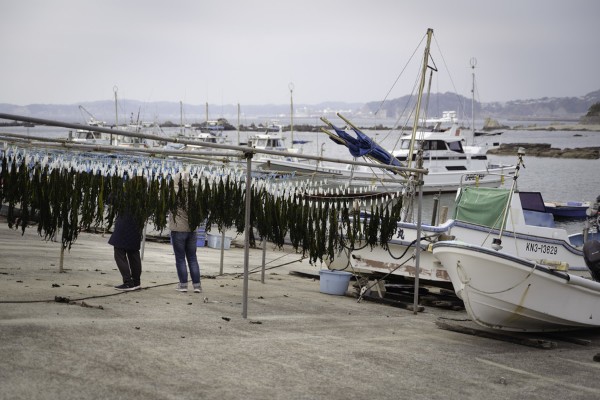 第5期 グランプリ「うみまち」Maitabu&nbsp;様（東京都大田区）