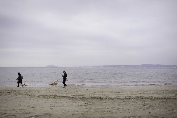 第5期 グランプリ「うみまち」Maitabu&nbsp;様（東京都大田区）