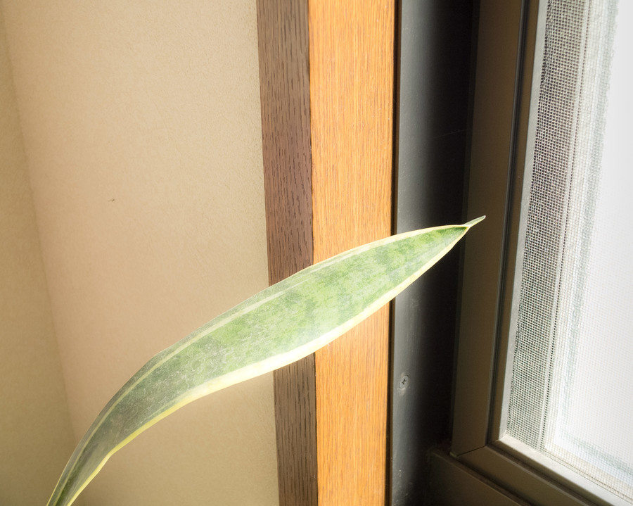 準グランプリ作品