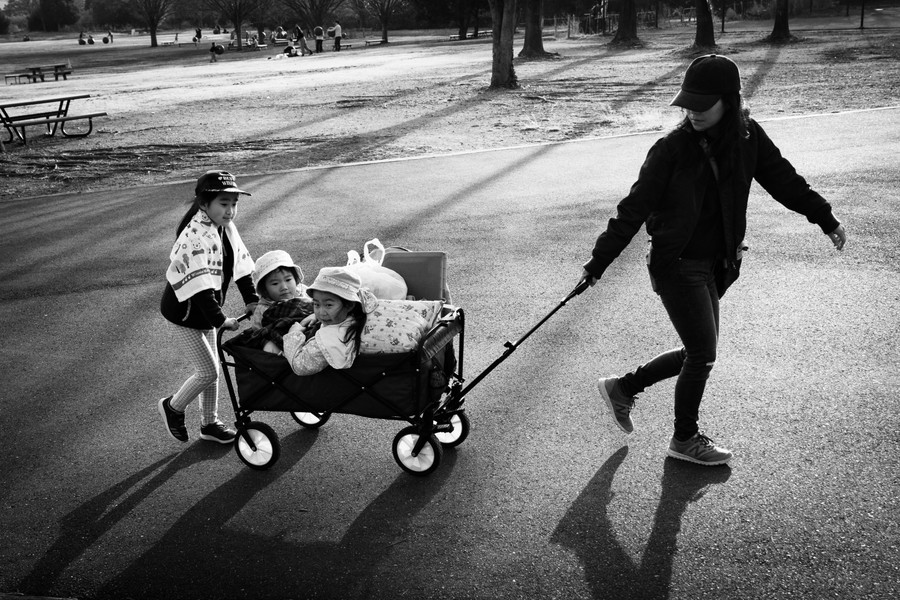 準グランプリ作品