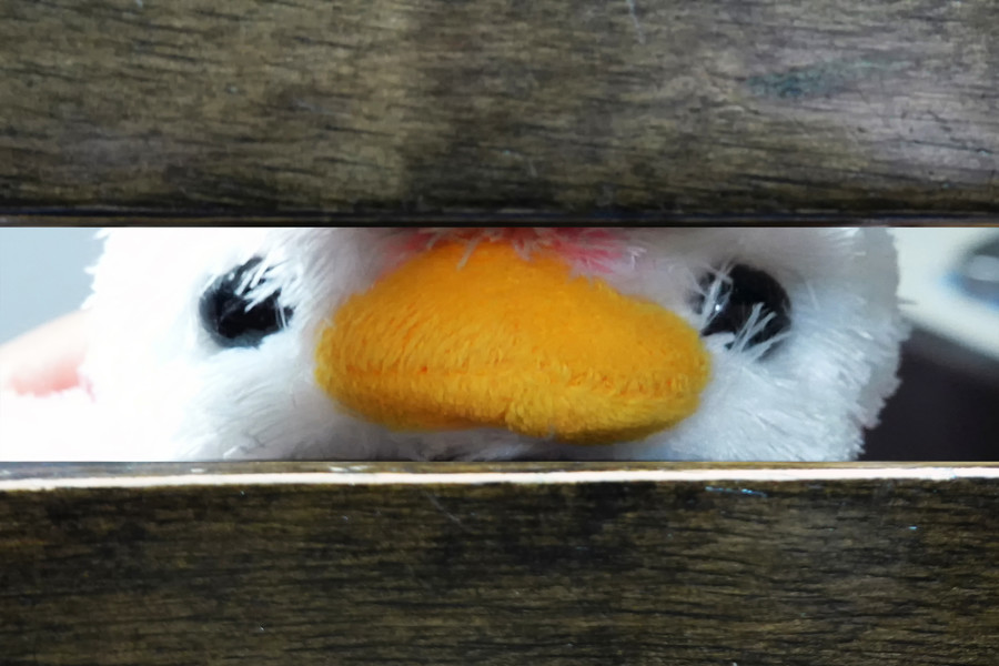 準グランプリ作品