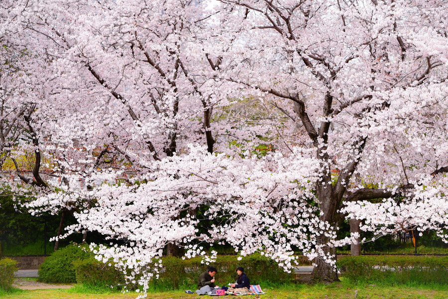 準グランプリ作品