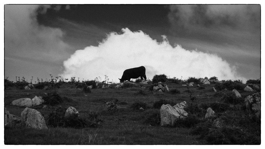 準グランプリ作品