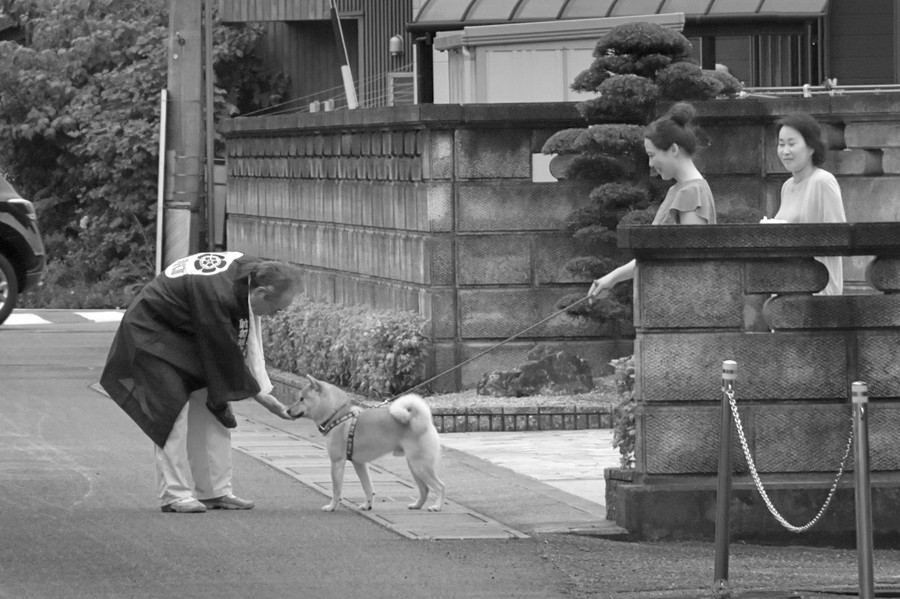 準グランプリ作品