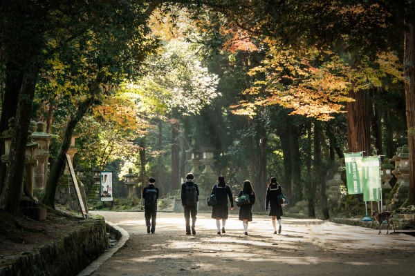 第4期 グランプリ「青春謳歌」中本&nbsp;則昭&nbsp;様（兵庫県神戸市）